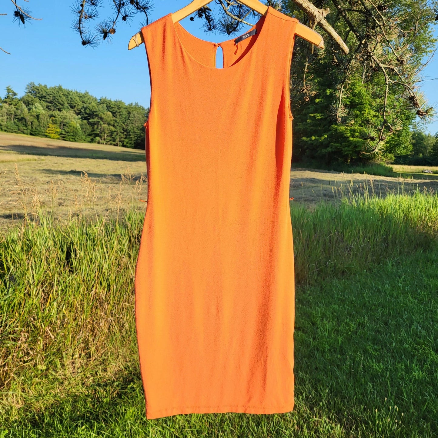 Tart Sleeveless Crew-Neck Body Con Belted Dress - Orange - M