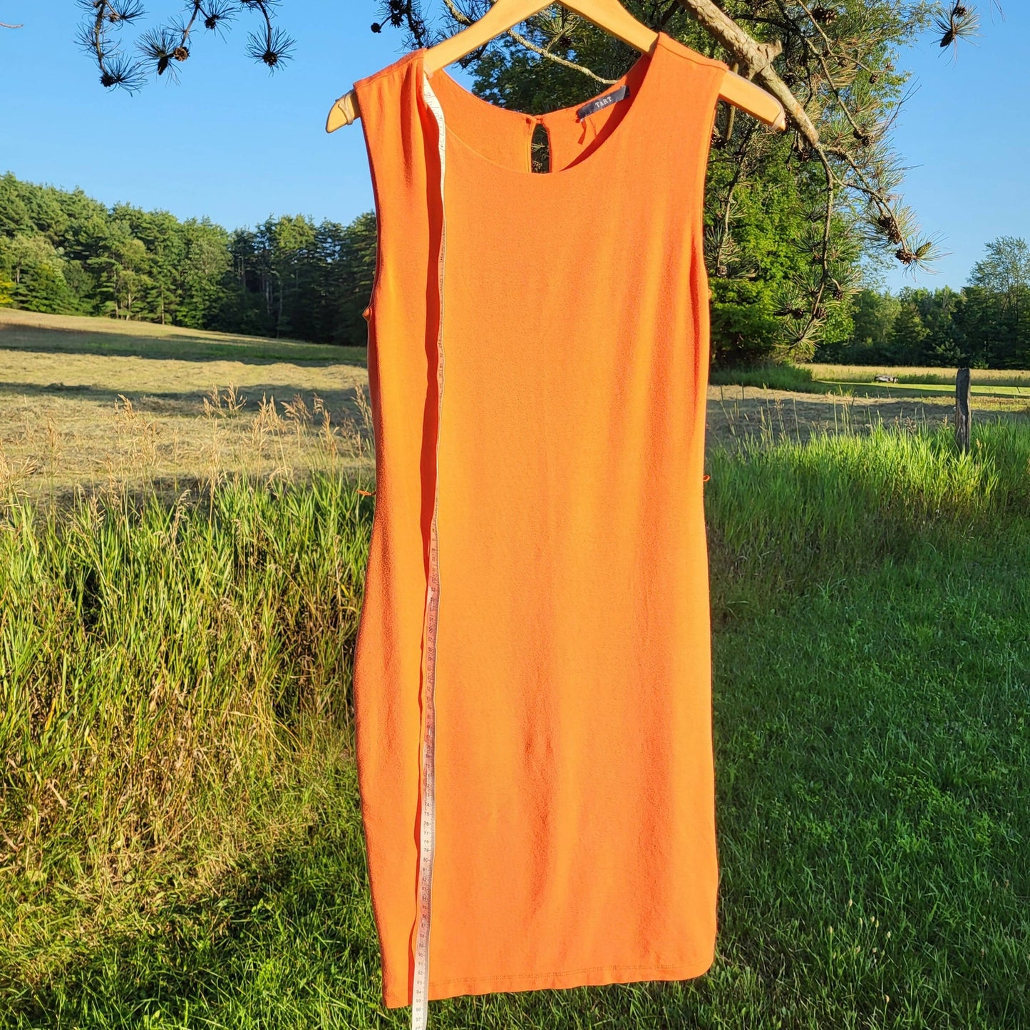 Tart Sleeveless Crew-Neck Body Con Belted Dress - Orange - M