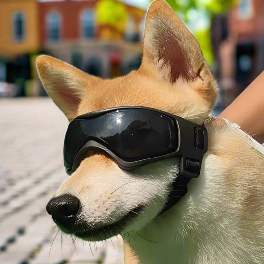 Adjustable UV Protection Puppy Sunglasses for Small to Medium Dog