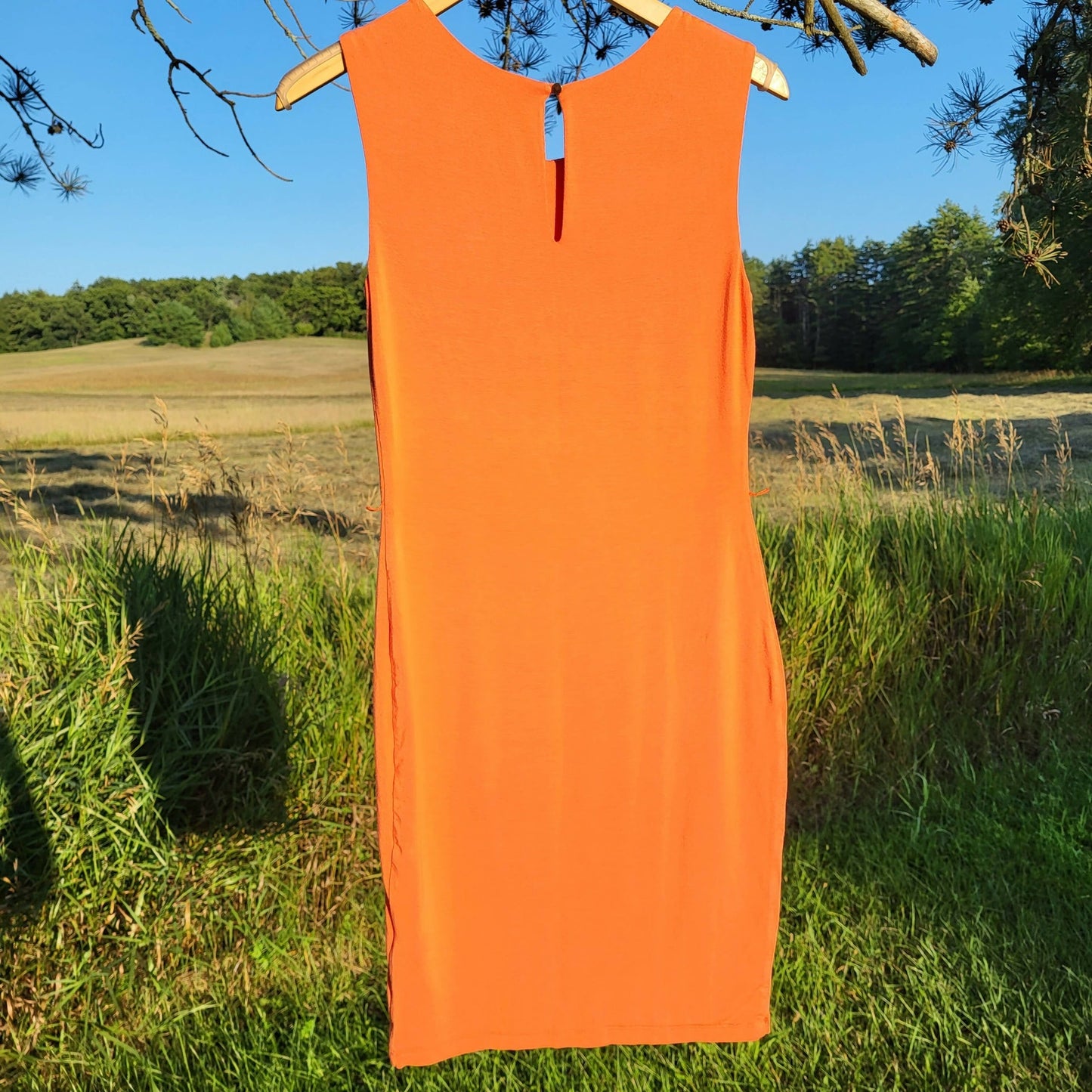 Tart Sleeveless Crew-Neck Body Con Belted Dress - Orange - M