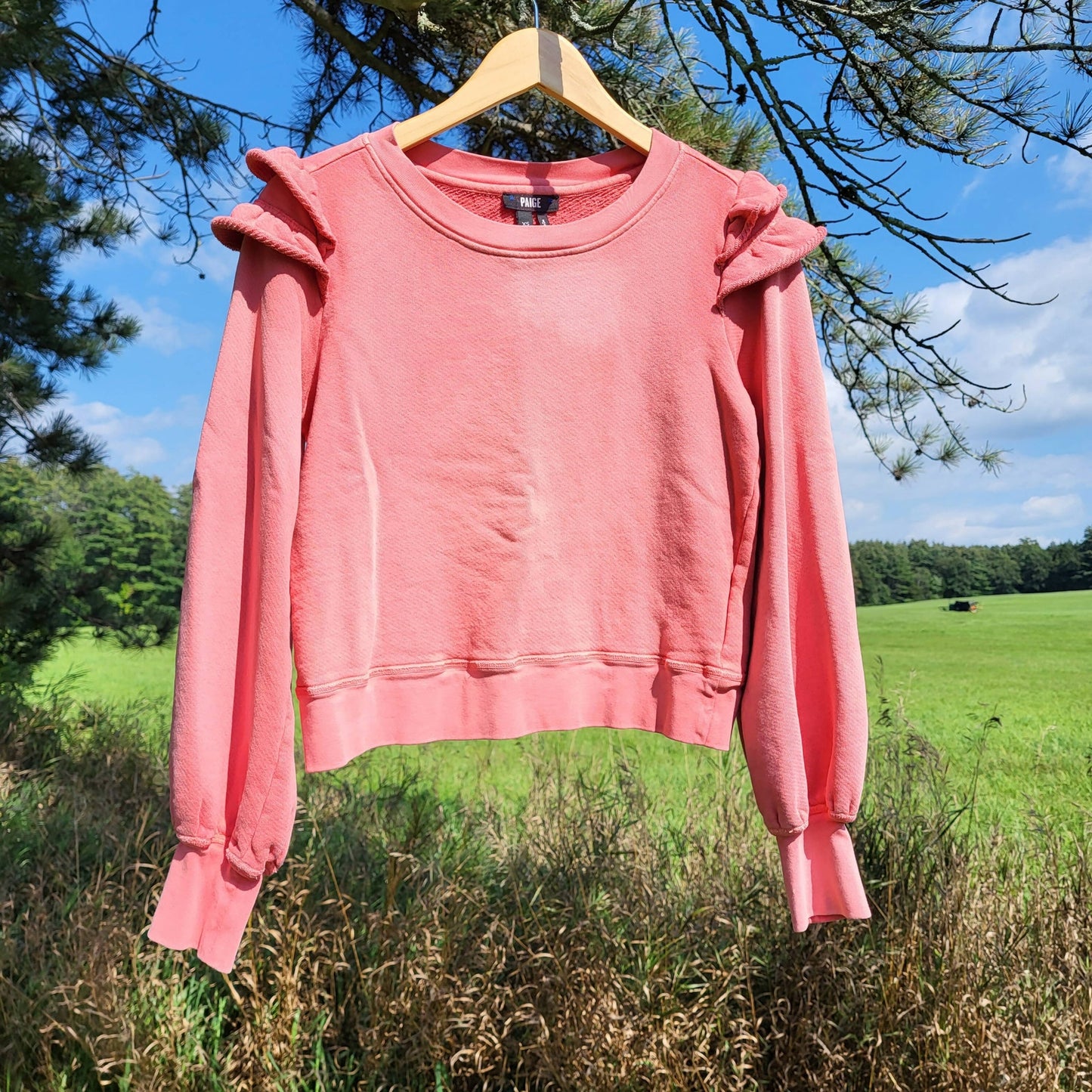 Paige Long Sleeve Panelo Sweatshirt - Pink