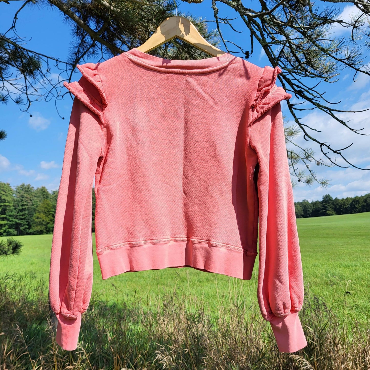 Paige Long Sleeve Panelo Sweatshirt - Pink